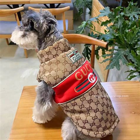 21k gucci dog jacket|Gucci dog coats.